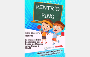 OPERATION RENTRO PING