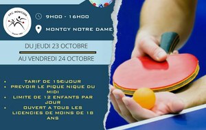 🏓 Stage de Tennis de Table - Guillaume SportsAndPing 🏓