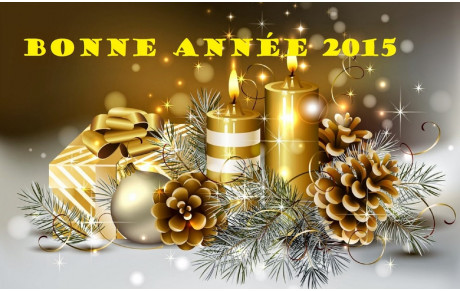 BONNE ANNEE 2015 !