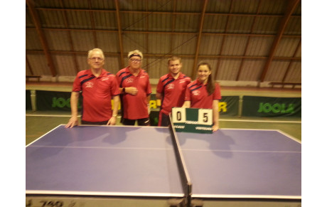 1/2 FINALES COUPE DU COMITE