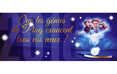 MEILLEURS VOEUX POUR 2019