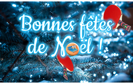 JOYEUSES FETES DE FIN D'ANNEE !
