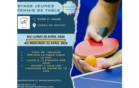 STAGE PING vacances d'avril 2026 à Montcy